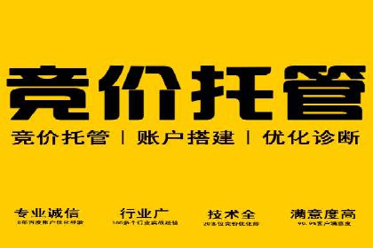 百度竞价广告在电商行业的应用及效果展示
